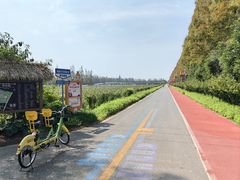 -上海长兴岛郊野公园