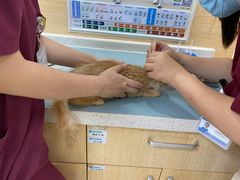 -美联众合动物医院·24h京西诊疗中心