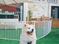 -老外街