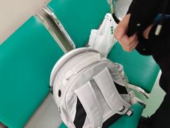 -北京观赏动物医院·24小时大型综合·猫专科·异宠专科