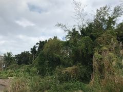 -万泉河漂流