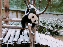 -黔灵山公园