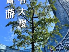 -安徽广播电视台