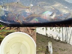 -蓝天路(地铁站)