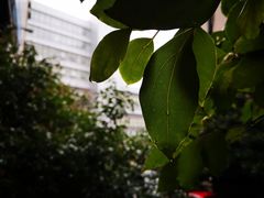 -建国328 本帮小馆·面馆