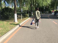 -丁香湖公园