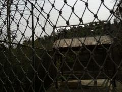 驼鸟-兰陵国家农业公园