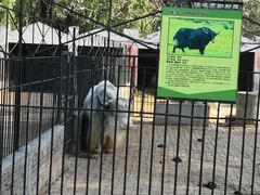 -保定市动物园