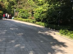 -金鸡山公园