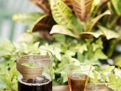 -Infica Coffee