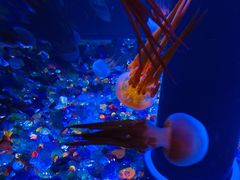 -成都浩海立方海洋公园