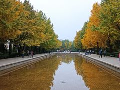 -玲珑塔公园