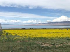 -青海湖国家重点风景名胜区