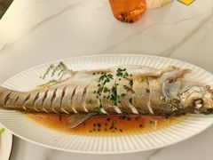 清蒸白丝鱼-七的湖·江南蟹舫·阳澄湖农家菜(蟹舫苑店)
