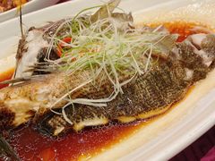 清蒸笋壳鱼-和记小菜(大宁店)