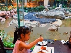 -白虎自助餐厅·真老虎·景观自助餐厅(广州长隆酒店)