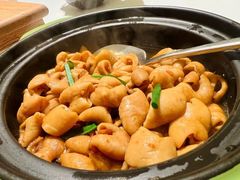 -金成潮菜博物馆(海珠湿地店)