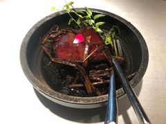 东坡草扎肉-绿茶餐厅(领展购物广场·中关村店)