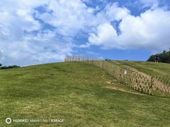 -小麦岛公园
