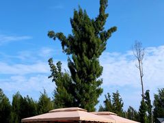 -西涌国际滨海旅游区