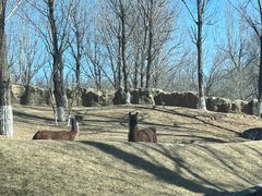 -北京野生动物园