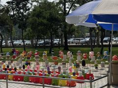 -南戴河国际娱乐中心