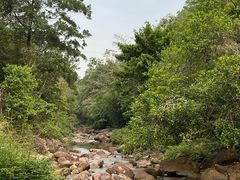 -广州白江湖森林公园