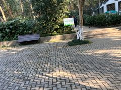 -赭山公园