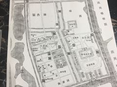 -金岛生态园烧烤露营地