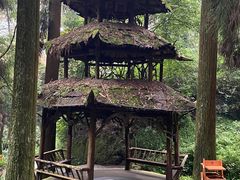 -青城山