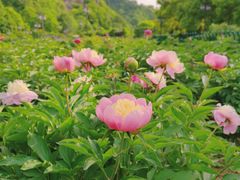 -幕燕滨江·长江观音景区