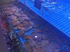 -渔民船说·北塘海鲜·天津菜·海肠捞饭(北塘古镇店)
