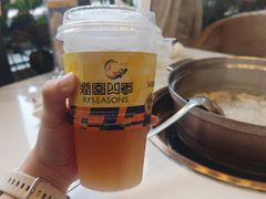 -润园四季椰子鸡火锅(欢乐海岸店)