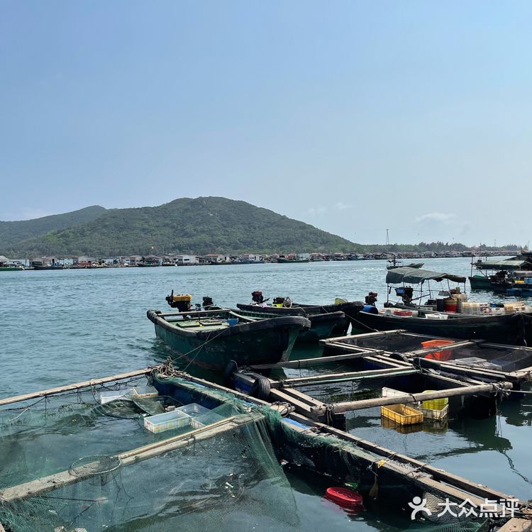 新村码头!海鲜买到爽,帮你避坑!