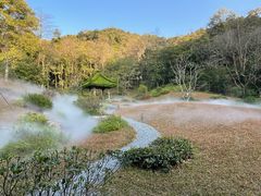 -云溪植物园
