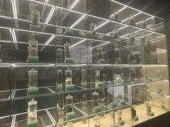 -广东中医药博物馆