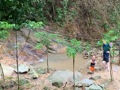 -火炉山森林公园