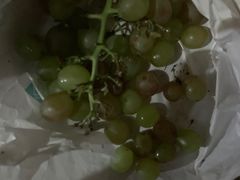 -马陆小张葡萄园农家乐