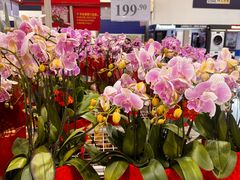 -山姆会员商店(亦庄创意生活广场店)