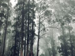 -普芬比利蒸汽火车