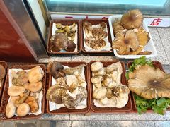 -草墩罗非鱼庄•野生菌•腊排骨(七星街上段店)