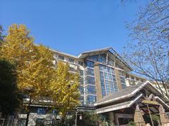 -三江森林温泉度假区