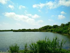 -滨海高尔夫俱乐部