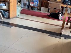 -哈尔滨北方国际青年旅舍(中央大街店)