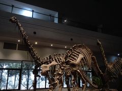 -自贡恐龙博物馆