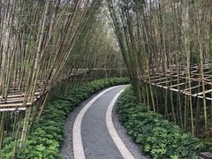 -美的鹭湖森林度假区