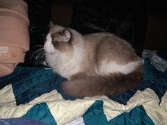 -悠米私人影院(街道口店)