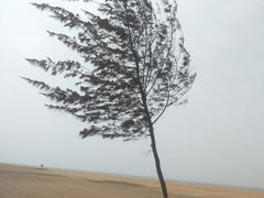 -白沙门生态公园