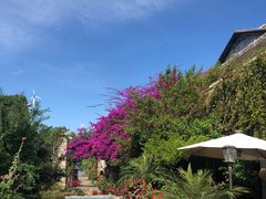 -明月山庄私房菜(环海东路店)