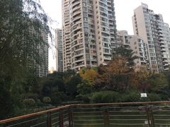-新湖明珠城